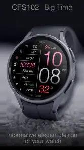 CFS102 Big Time screenshot