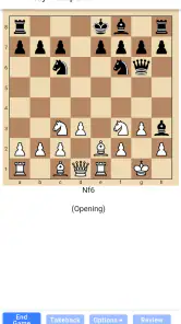 Chessvis - Puzzles, Visualize screenshot