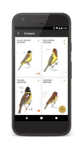 Collins Bird Guide screenshot