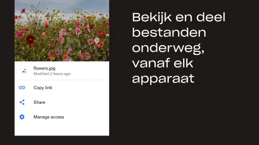Dropbox: Documenten in Drive screenshot
