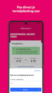 Essent screenshot