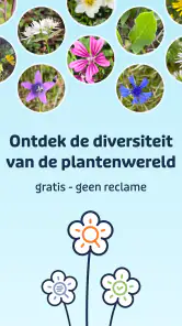 Flora Incognita screenshot