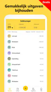 Geldmanager:Uitgaven bijhouden screenshot