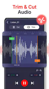 geluidsrecorder screenshot