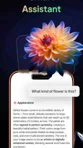 Gendi AI - Ask AI Assistant screenshot