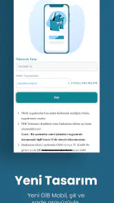 GİB screenshot