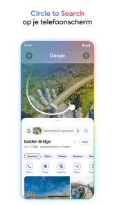 Google screenshot