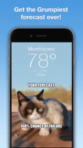 Grumpy Cat Weather screenshot