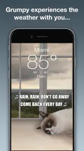 Grumpy Cat Weather screenshot