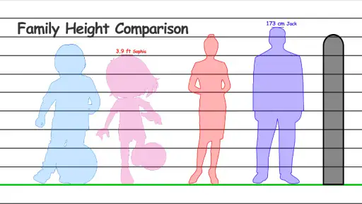Height Measurement App screenshot
