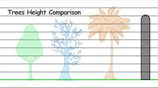 Height Measurement App screenshot