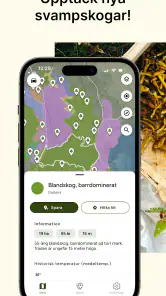 Hitta Skog: Svamp och Bär screenshot