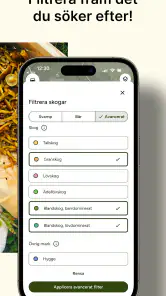Hitta Skog: Svamp och Bär screenshot