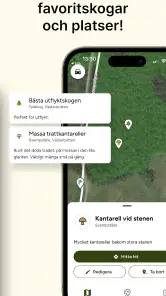 Hitta Skog: Svamp och Bär screenshot