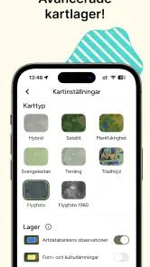 Hitta Skog: Svamp och Bär screenshot