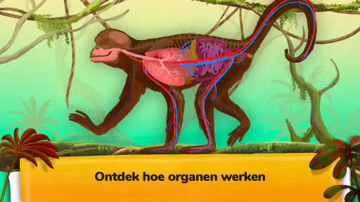 Hoe gaan dieren te werk? screenshot