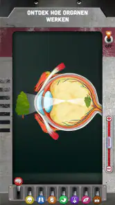Hoe Werkt Mijn Lichaam? screenshot