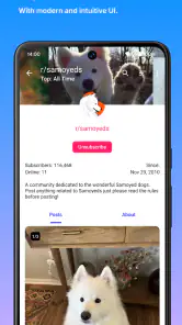 Infinity for Reddit++ screenshot