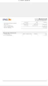 ING Commercial Card screenshot