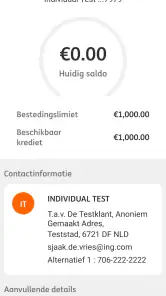 ING Commercial Card screenshot