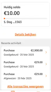 ING Commercial Card screenshot