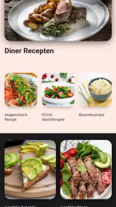 keto dieet recepten nederlands screenshot