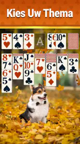 Klassieke Solitaire - 2025 screenshot