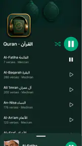 Koranspeler met audio screenshot
