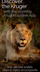 KrugerExplorer screenshot