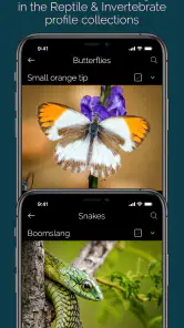 KrugerExplorer screenshot