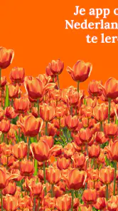 Leer Nederlands - Beginners screenshot