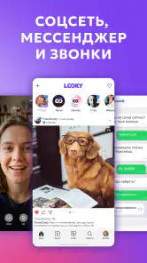 LOOKY — social network screenshot