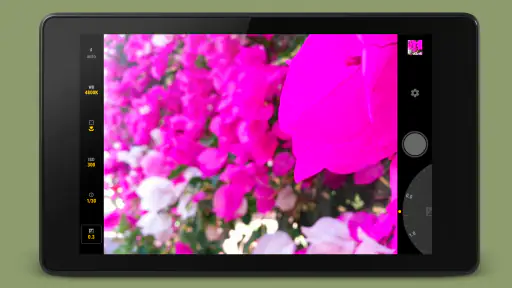 Manual Camera screenshot