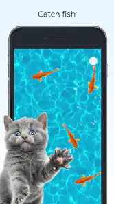Meow - Spellen Voor Katten screenshot