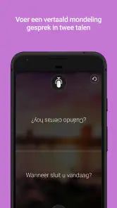 Microsoft Vertaler screenshot