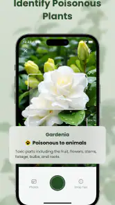 MyPlant: Identify & Care screenshot