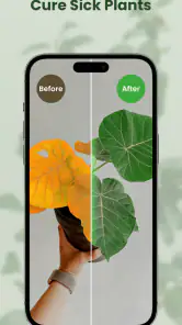 MyPlant: Identify & Care screenshot