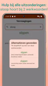 Nederlandse Werkwoorden screenshot