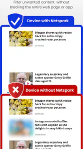 Netspark Real-time filter screenshot