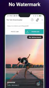No Watermark Video Downloader screenshot