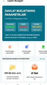 Ochiq Budjet screenshot
