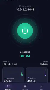 OpenConnect screenshot