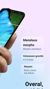 Picture Insect - Insecten ID screenshot
