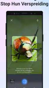 Picture Insect - Insecten ID screenshot