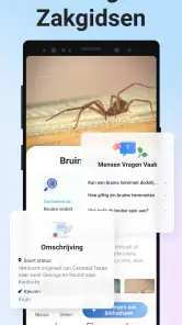 Picture Insect - Insecten ID screenshot