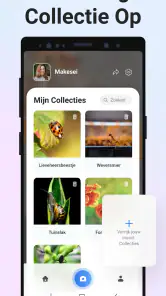 Picture Insect - Insecten ID screenshot