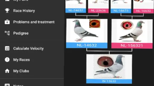 Pigeon Loft Manager screenshot