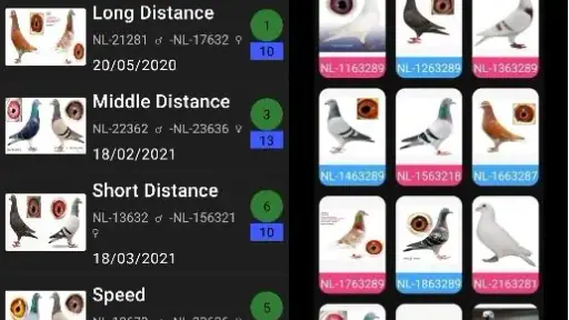 Pigeon Loft Manager screenshot