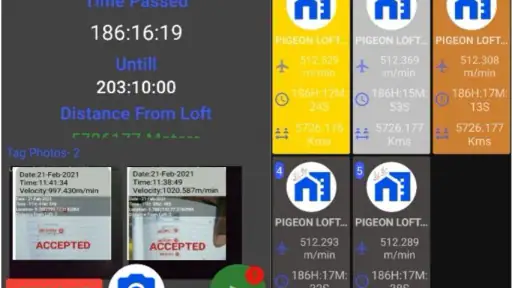 Pigeon Loft Manager screenshot