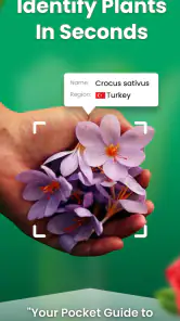 Planten Herkennen - Plantio screenshot